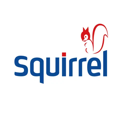 squirrel