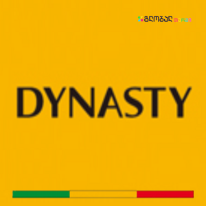 ცენტრალური გათბობის გაზის ქვაბი Dynasty 18 kW